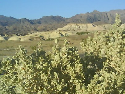 011 Death Valley 12th May 2010.jpg